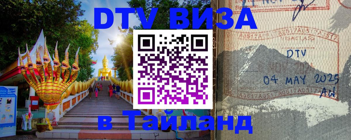 Оформление DTV визы под ключ: стоимость и тарифы, только загранпаспорт - 